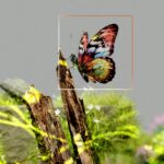 Uso de IA na Criação de Obras, Quem Detém os Direitos Autorais